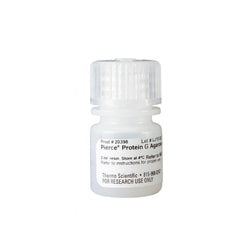 Thermo Scientific Pierce Protein G Agarose 2 mL | Buy Online | Thermo Scientific&trade; | Fisher Scientific