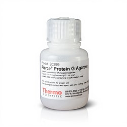 Thermo Scientific Pierce Protein G Agarose 10 mL | Buy Online | Thermo Scientific&trade; | Fisher Scientific