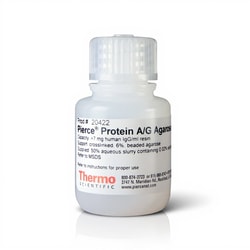 Thermo Scientific Pierce Protein A/G Agarose 15 mL | Buy Online | Thermo Scientific&trade; | Fisher Scientific