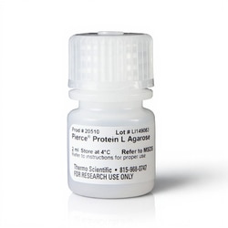Thermo Scientific Pierce Protein L Agarose 2 mL | Buy Online | Thermo Scientific&trade; | Fisher Scientific