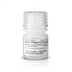 Thermo Scientific™ Pierce™ Protein L Plus Agarose