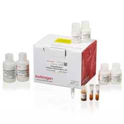 Invitrogen&trade;&nbsp;ChargeSwitch&trade; NoSpin Plasmid Micro Kit