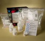 Thermo Scientific™ Pierce™ Biotinylated Protein Interaction Pull-Down Kit