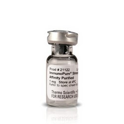 Thermo Scientific Pierce Streptavidin 1 mg | Buy Online | Thermo Scientific&trade; | Fisher Scientific
