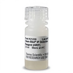 Thermo Scientific™ Clean-Blot™ IP Detection Reagent (HRP)