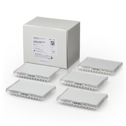 Applied Biosystems™ TrueMark™ Genital Plus Combo Kit