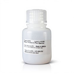 Thermo Scientific&trade;&nbsp;Pierce&trade; Protein G Plus Agarose
