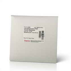 Thermo Scientific™ Low-Fluorescence PVDF Transfer Membranes, 0.2 μmm, 7 x 8.4 cm