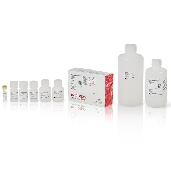 Invitrogen™ ViewRNA™ Colorimetric Tissue Core Kit and Individual