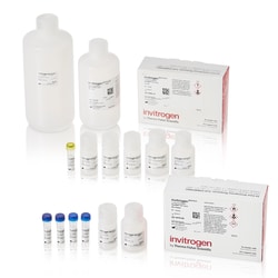 Invitrogen ViewRNA Colorimetric Tissue 1-Plex Kits 24 Assays | Buy Online | Invitrogen&trade; | Fisher Scientific