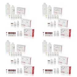 Invitrogen ViewRNA Colorimetric Tissue 2-Plex Kits Red-Brown 2-Plex Kit:Reactivos