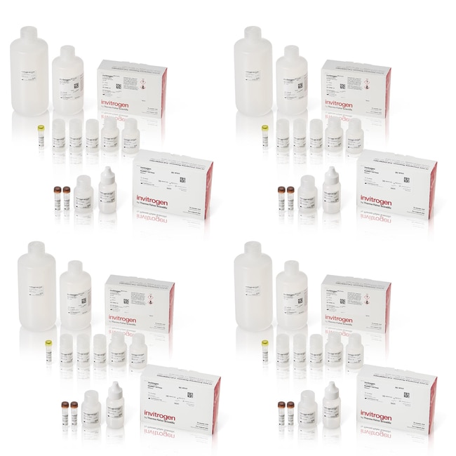 Invitrogen™ ViewRNA™ Colorimetric Tissue 1Plex Kits DAB 1Plex Kit