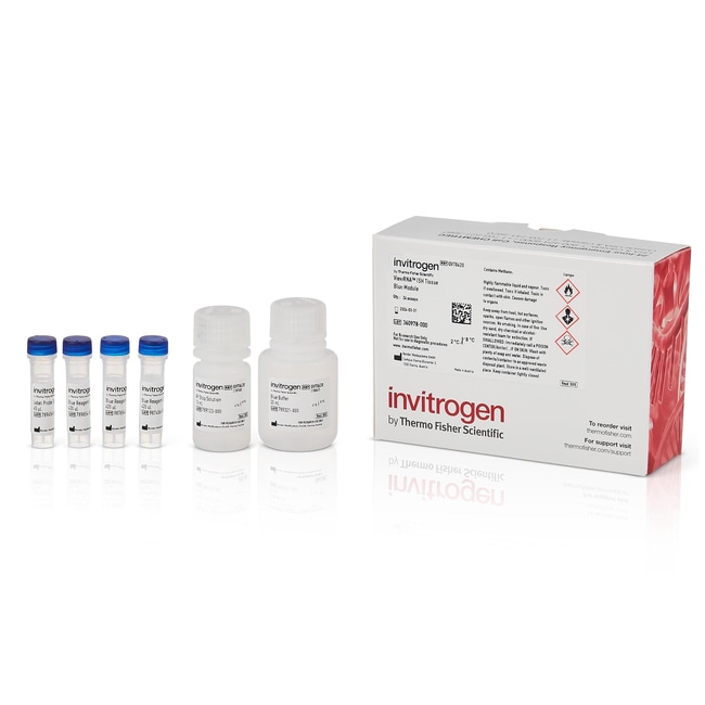Invitrogen ViewRNA Colorimetric Tissue Core Kit and Individual Modules