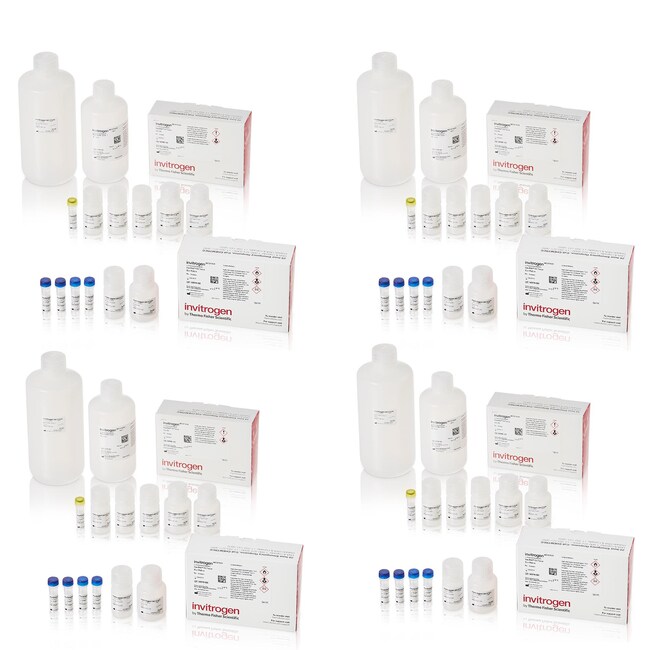 Invitrogen™ ViewRNA™ Colorimetric Tissue 1Plex Kits Fast Blue 1Plex