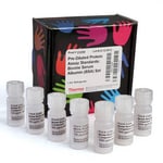 Thermo Scientific Pierce Bovine Serum Albumin Standard Pre-Diluted