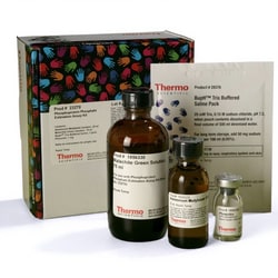 Thermo Scientific™ Pierce™ Phosphoprotein Phosphate Estimation Assay Kit