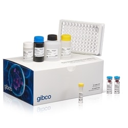 Gibco™ Residual Protein TrypLE™ ELISA Kit