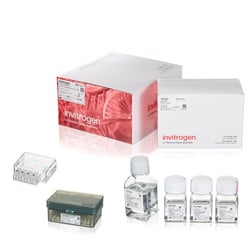 Invitrogen&trade;&nbsp;Neon&trade; NxT Electroporation System 100 &mu;L Kit with 8-Channel Tubes
