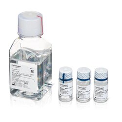 Invitrogen&trade;&nbsp;Neon&trade; NxT Electroporation System 10 &mu;L Kit with 8-Channel Tubes