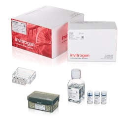 Invitrogen&trade;&nbsp;Neon&trade; NxT Electroporation System 10 &mu;L Kit with 8-Channel Tubes