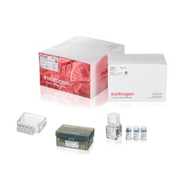Invitrogen™ Neon™ NxT Electroporation System 100 μL Kit with 8-Channel Tubes
