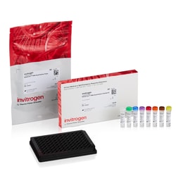 Invitrogen™ Quant-iT™ RiboGreen ReadyPlate