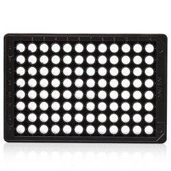 Invitrogen Quant-iT PicoGreen ReadyPlate 1 x 96-Well ReadyPlate:Reactivos