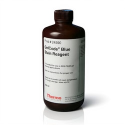 Thermo Scientific GelCode Blue Stain Reagent 500 mL | Buy Online | Thermo Scientific&trade; | Fisher Scientific