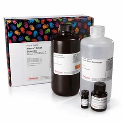 Thermo Scientific Pierce Silver Stain Kit 1 L | Buy Online | Thermo Scientific&trade; | Fisher Scientific