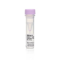 Thermo Scientific ActivX TAMRA-FP Serine Hydrolase Probe 6.8 &mu;g | Buy Online | Thermo Scientific&trade; | Fisher Scientific