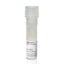 Thermo Scientific&trade;&nbsp;tRNA for LightShift&trade; Chemiluminescent RNA EMSA Kit