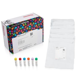 Thermo Scientific&trade;&nbsp;TMTsixplex&trade; Isobaric Label Reagent Set