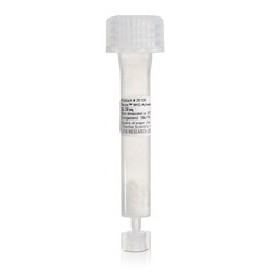 Thermo Scientific Pierce NHS-Activated Agarose Spin Columns, 2 mL 5 Columns | Buy Online | Thermo Scientific&trade; | Fisher Scientific