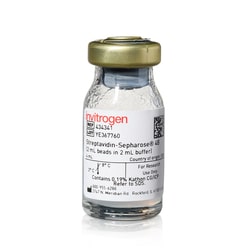 Molecular Probes&trade;&nbsp;Streptavidin - Agarose