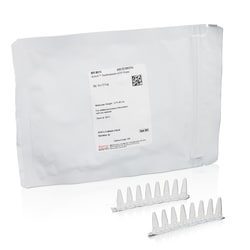 Thermo Scientific&trade;&nbsp;ActivX&trade; Desthiobiotin-GTP Probe