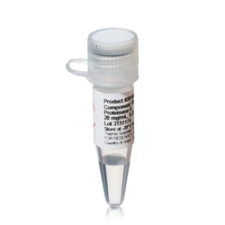 Thermo Scientific&trade;&nbsp;Proteinase K Solution, ChIP grade