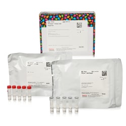 Thermo Scientific&trade;&nbsp;TMTduplex&trade; Isotopic Label Reagent Set, 5 x 0.8 mg