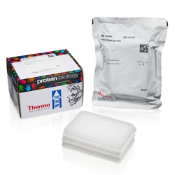 Thermo Scientific&trade;&nbsp;Pierce&trade; Protein G Spin Plate for IgG Screening