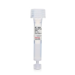 Thermo Scientific SulfoLink Immobilization Kit for Peptides, 2 mL 5 Column Kit | Buy Online | Thermo Scientific&trade; | Fisher Scientific