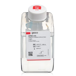 Gibco DPBS, calcium, magnesium, glucose, pyruvate 1000 mL | Buy Online | Gibco&trade; | Fisher Scientific