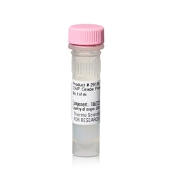 Thermo Scientific Pierce ChIP-Grade Protein A/G Plus Agarose 0.65 mL | Buy Online | Thermo Scientific&trade; | Fisher Scientific