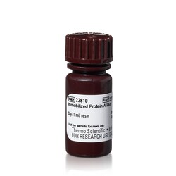Thermo Scientific Pierce Protein A Plus Agarose 1 mL | Buy Online | Thermo Scientific&trade; | Fisher Scientific