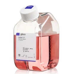 Gibco FreeStyle F17 Expression Medium 1 L | Buy Online | Gibco&trade; | Fisher Scientific