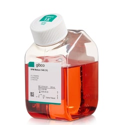 Gibco RPMI 1640 Medium, ohne Folsäure 500 ml | Buy Online | Gibco&trade; | Fisher Scientific