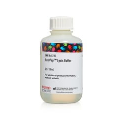Thermo Scientific EasyPep MS pr veforberedelsessæt Lyseringsbuffer | Buy Online | Thermo Scientific&trade; | Fisher Scientific
