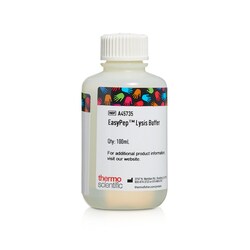 Thermo Scientific EasyPep MS pr veforberedelsessæt Lyseringsbuffer | Buy Online | Thermo Scientific&trade; | Fisher Scientific