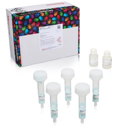Thermo Scientific HisPur Ni-NTA Spin Purification Kit, 3 ml Sæt med 5 kolonner | Buy Online | Thermo Scientific&trade; | Fisher Scientific