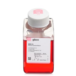 Gibco MEM, high glucose, high sodium bicarbonate 500 mL | Buy Online | Gibco&trade; | Fisher Scientific