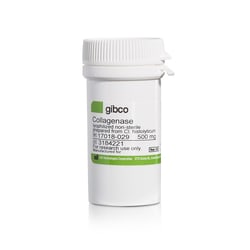 Gibco Collagenase, Type I, powder 500 mg | Buy Online | Gibco&trade; | Fisher Scientific