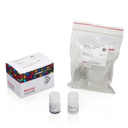 Thermo Scientific Pierce Albumin Serum Depletion Kits Kit zur Entfernung von Albumin- und IgG | Buy Online | Thermo Scientific&trade; | Fisher Scientific